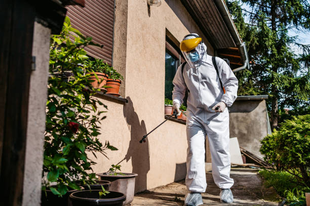 Best Wasp Removal Services  in Terville, WA