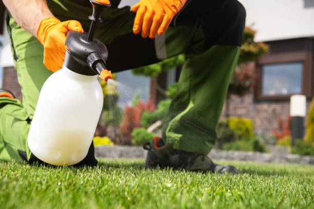 Best Best Pest Control Companies  in Terville, WA