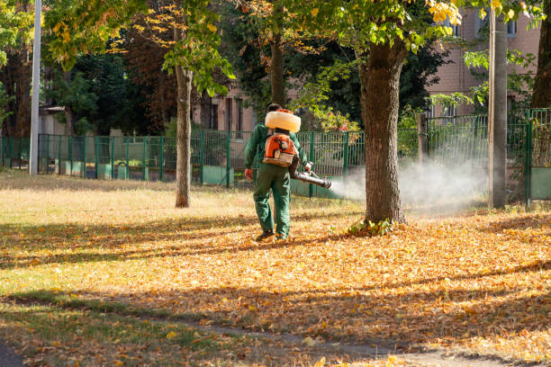 Best Pest Control for Businesses  in Terville, WA