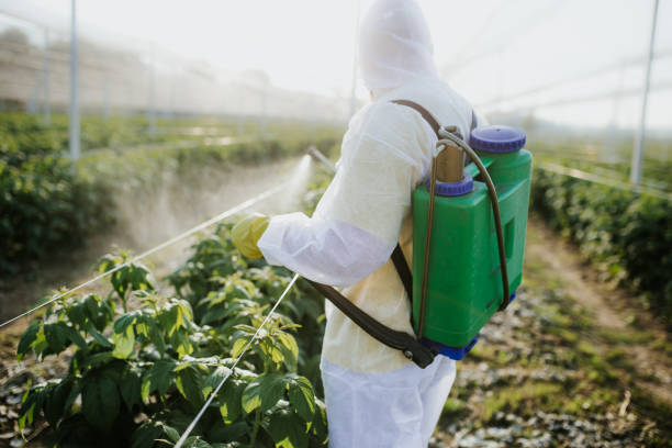 Best Rat Extermination Near Me  in Terville, WA